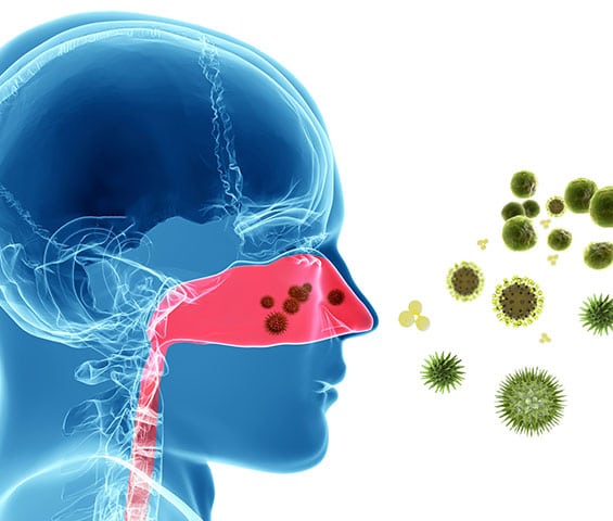 Respiratory-Nasal-Testing-Chabado-Genomics-2